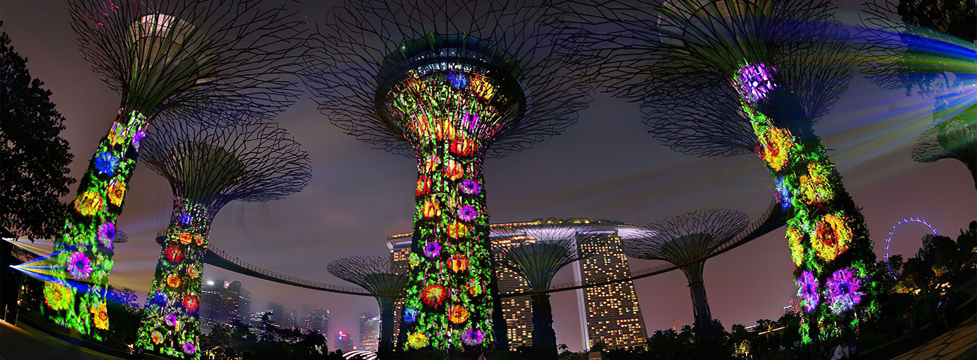 2013 07 Mystical Supertrees MainNew
